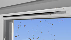 Kameleontti asennus 5